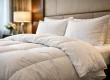 Si të zgjidhni duvete për hotel